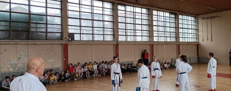 315541903_556681856466698_4731504873303884065_n